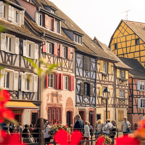 Visit the charming town of Colmar with its cobblestone streets and medieval buildings