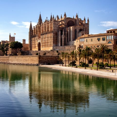 Take some photos of Palma Cathedral, a short drive away