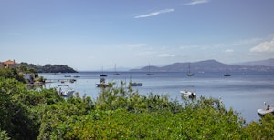 Golden Promise image 7