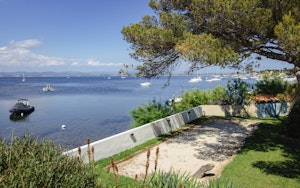 Golden Promise image 6