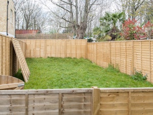 Lewisham Story image 3
