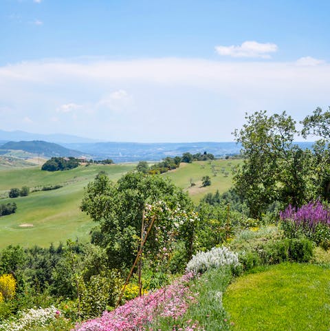 Watch Umbria's rolling hills unfold below you