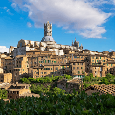 Explore one of Italy's most beautiful cities – Siena is around forty-five kilometres away