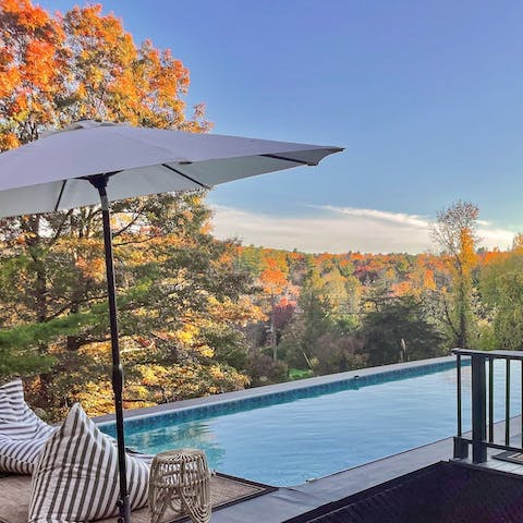 Admire the forest vistas from the private pool