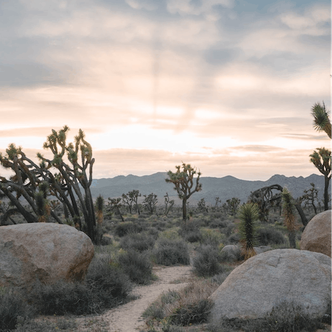  Discover the spectacular beauty of Joshua Tree National Park – only ten–minutes away 