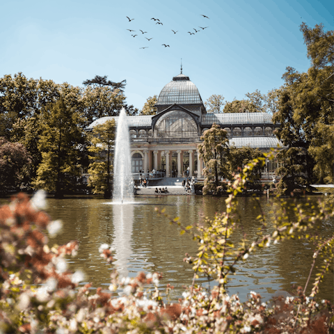 Take a walk through the lush El Retiro park with its lakes and galleries