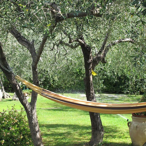 Enjoy a midday snooze on the hammock under the shade of the trees