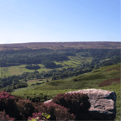 Explore the stunning landscapes of the North York Moors National Park