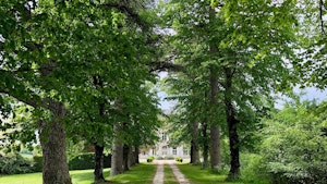 The Grand Chateau image 10