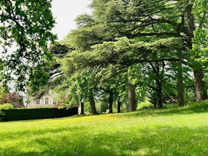 The Grand Chateau image 6