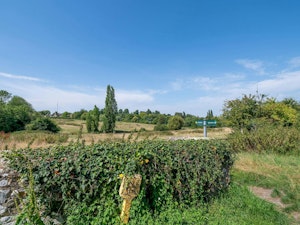 Cabin of Light image 6