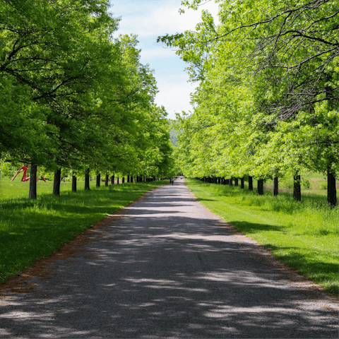 Explore the expansive green spaces and beautiful nature spots of Piermont