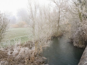 Minster Meadows image 13