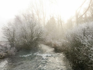 Minster Meadows image 10