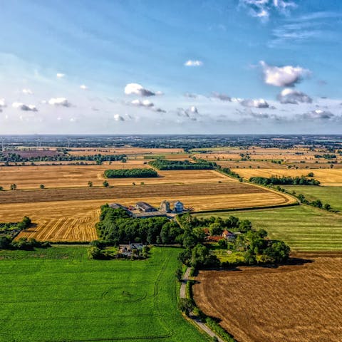 Explore the lush green countryside of Suffolk, home to meadows and ancient woodland