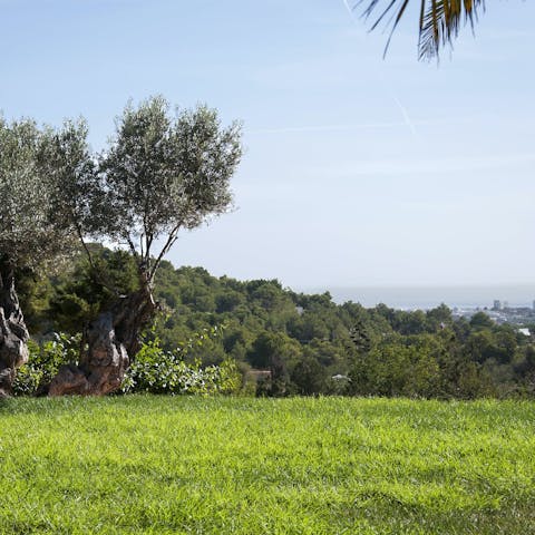 Enjoy mesmerising views across the horizon towards Ibiza Town