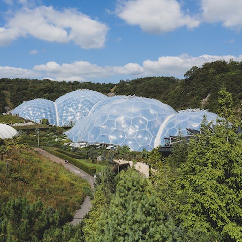 Visit the global garden housed in tropical biomes at the Eden Project – it's thirteen miles down the road