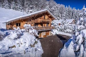 Alpine Allure image 6