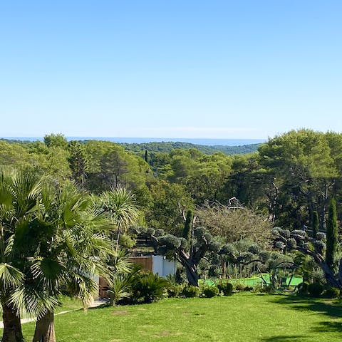 Take in the views of the French Riviera from Mougins