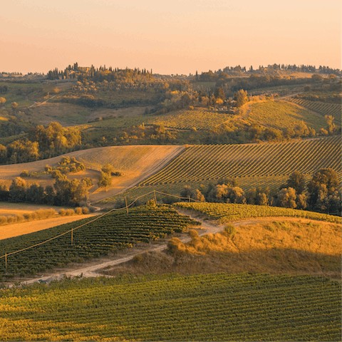 Head out in the car and discover Tuscany's hidden gems 