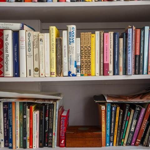 Shelves full of books