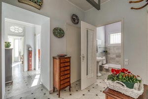 Coastal French Gem image 7