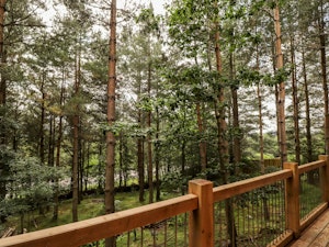 Woodland Serenity image 12