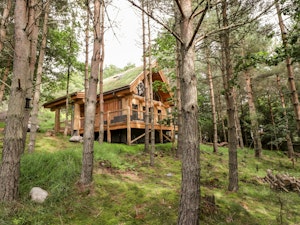 Woodland Serenity image 8