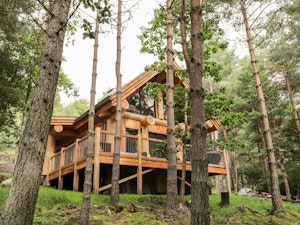 Woodland Serenity image 1