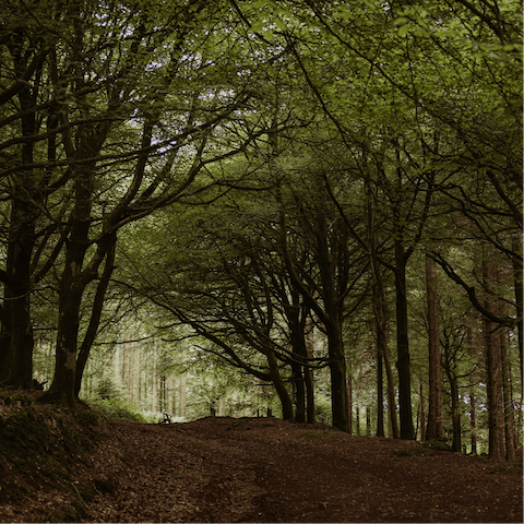 Follow footpaths across the fields and wander through ancient woodlands on countryside rambles