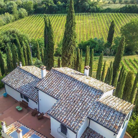 Stay in a peaceful former farmhouse surrounded by vineyards