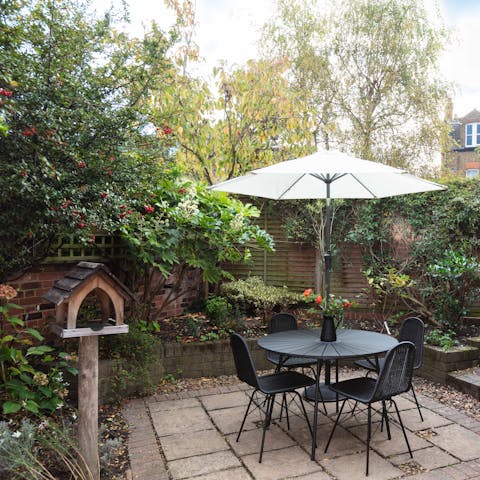Unwind in the tranquil garden and watch the birds