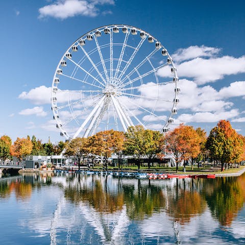 Visit Montreal's Old Port, less than a fifteen-minute walk from your front door