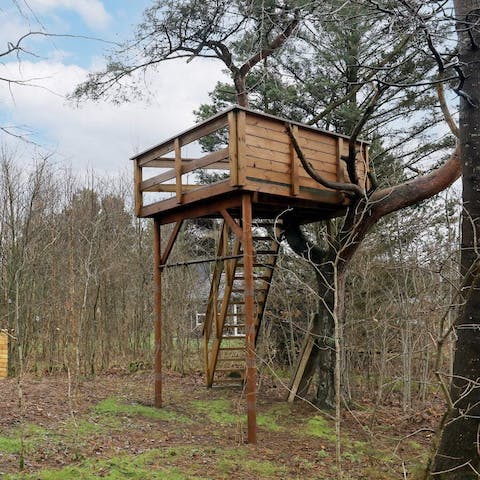 Take in panoramic woodland views from the treehouse