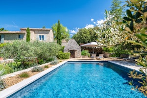 Provençal Vert image 1