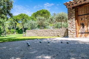 Provençal Vert image 15