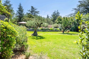 Provençal Vert image 13