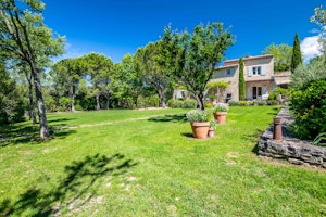 Provençal Vert image 11