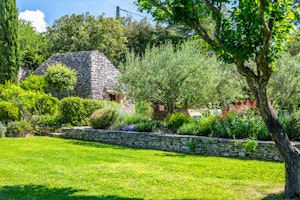 Provençal Vert image 10