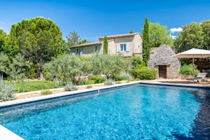 Provençal Vert image 4