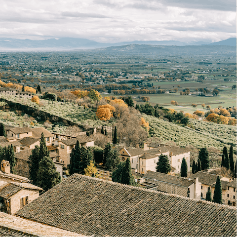 Explore the vineyards of the Umbrian countryside – you don't need to drive far