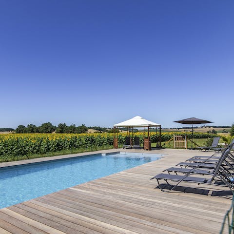 Enjoy uninterrupted views across fields of sunflowers whilst lounging by the pool