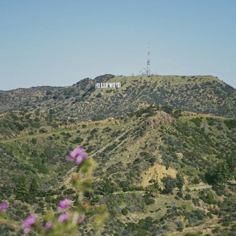 Soak up iconic sights while driving through Hollywood 