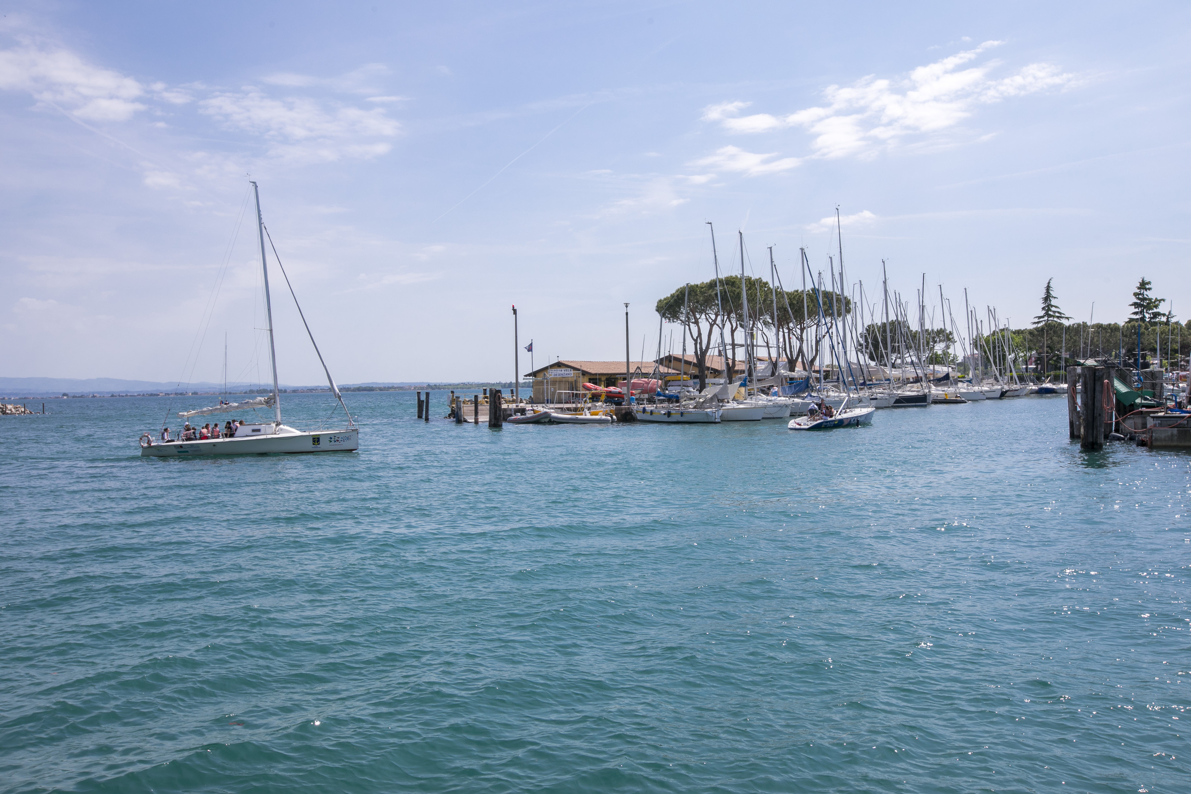 Light of the Chandelier