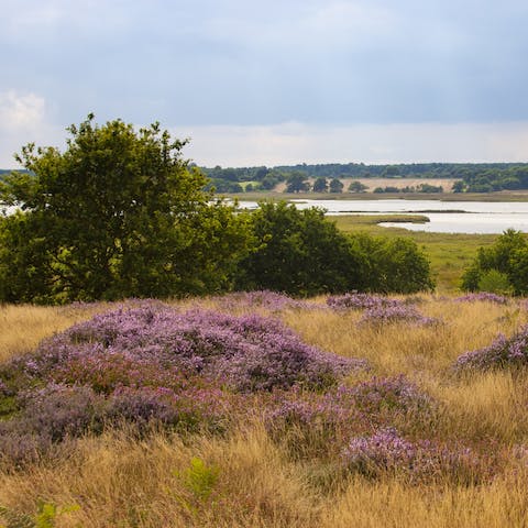 Explore the beautiful Suffolk countryside