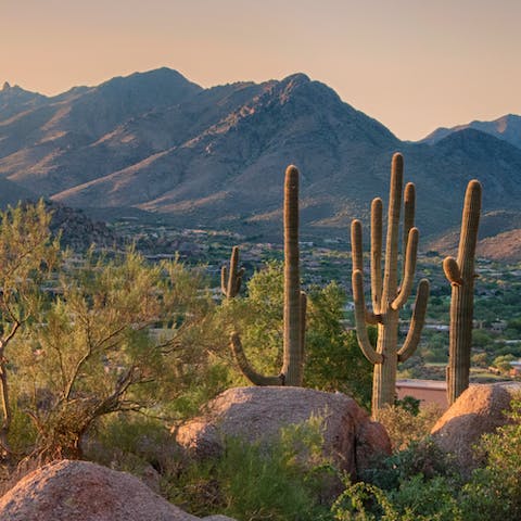 Drive to Downtown Scottsdale or the mountains in just ten minutes 