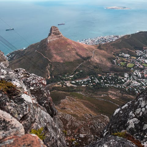 Take a break from the city with a hike in nearby Table Mountain National Park