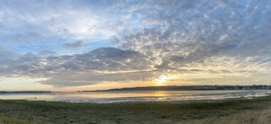 Migratory Patterns image 5