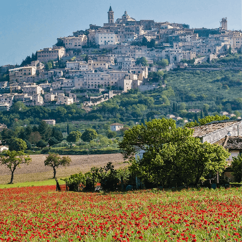 Explore the pretty Province of Perugia, including the picturesque town of Trevi based nearby