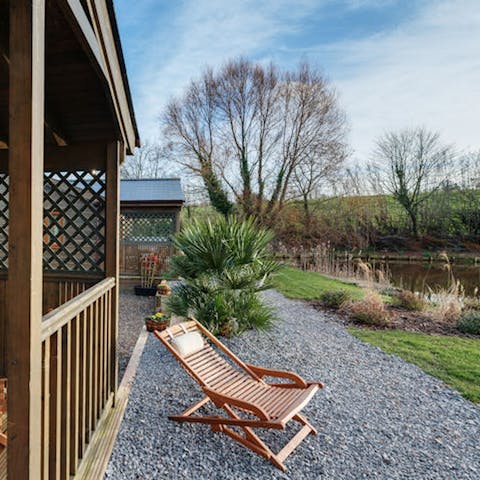 Pull up a lounge chair and watch the wildlife at the edge of the lake